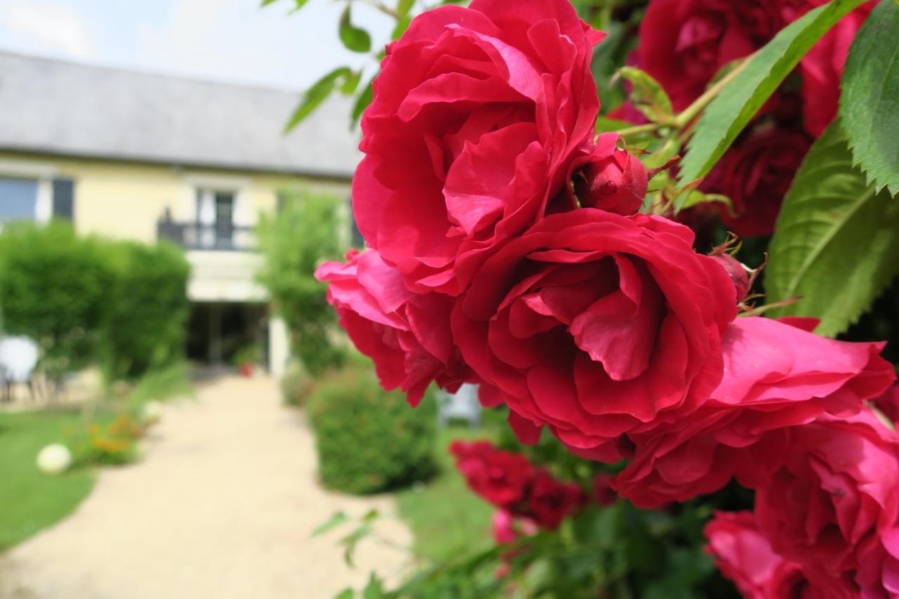 La Naomath - Maison D'Hotes, Hebergement Insolite & Gite Bayeux Kültér fotó